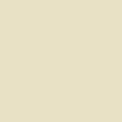Ivory: Beton Cire Kit