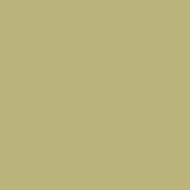 Green Shadow: Beton Cire Kit
