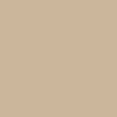 Taj Mahal: Beton Cire Kit